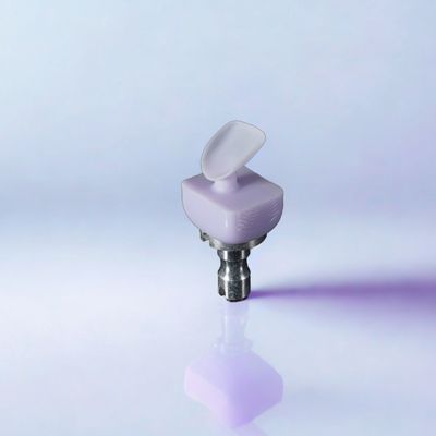 Cera Aesthetics Dental Glass Ceramics Glass Ceramic Crowns Dental Consumables