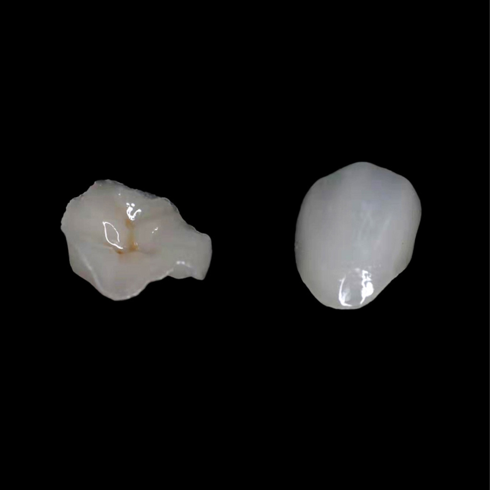 Cera Aesthetics Dental Glass Ceramics Glass Ceramic Crowns Dental Consumables
